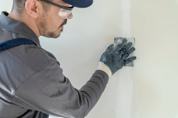 Mold Removal for HVAC Installations in Cottondale, AL